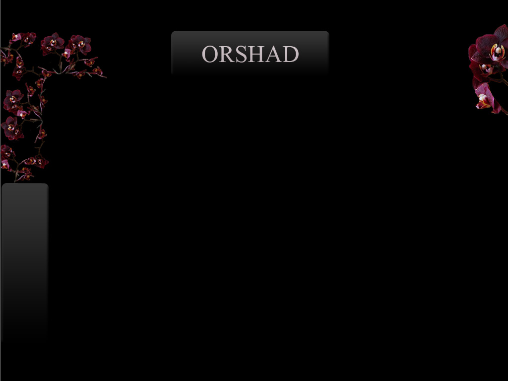 myspace_layout copy.jpg